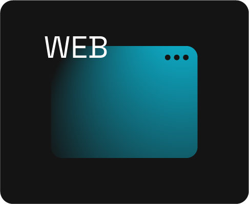 Desarrollo de web profesional en León Guanajuato